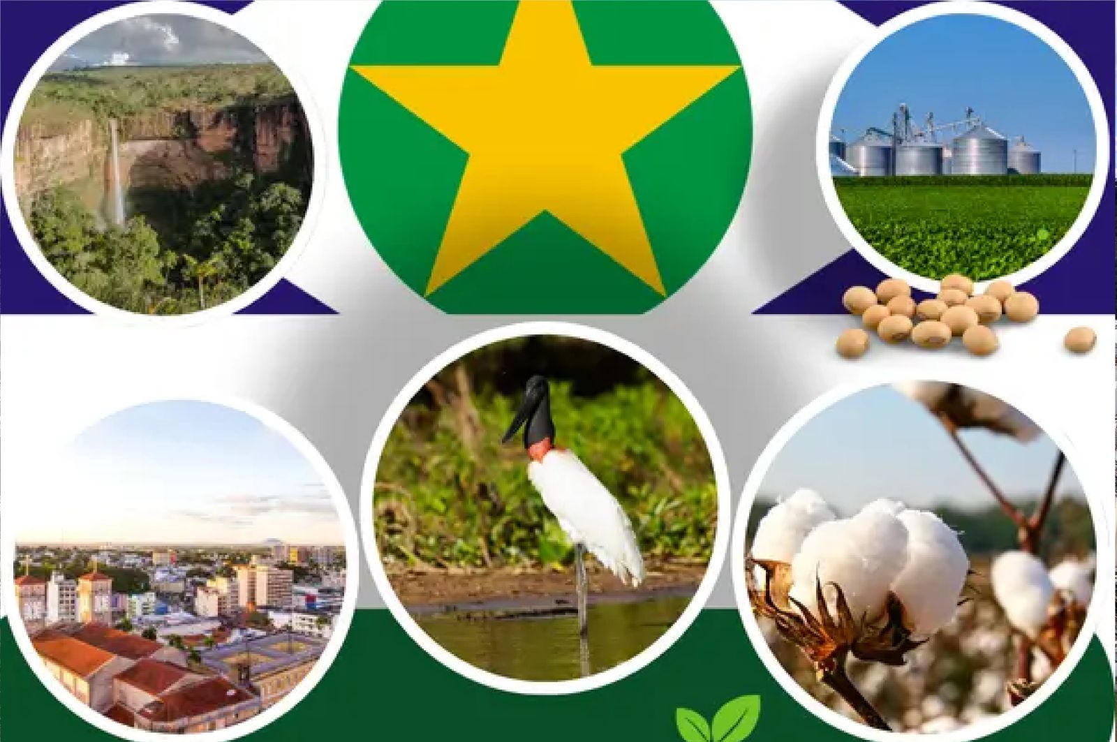 MATO GROSSO - MT